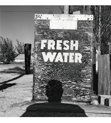 Anastasia Samoylova, Walker Evans: Floridas