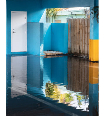 Anastasia Samoylova, Walker Evans: Floridas