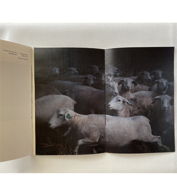 Raymond Meeks: A Geography of Abandonment (numbered & signed - available for preorder))