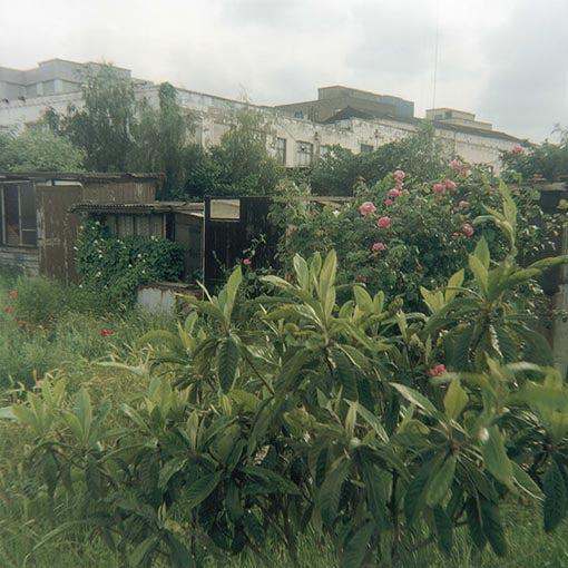 Stephen Gill: Hackney Wick (Signed, out of print)