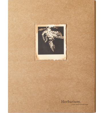 Alessandra Calò: Herbarium, i fiori sono rimasti rosa (signed and numbered copies)