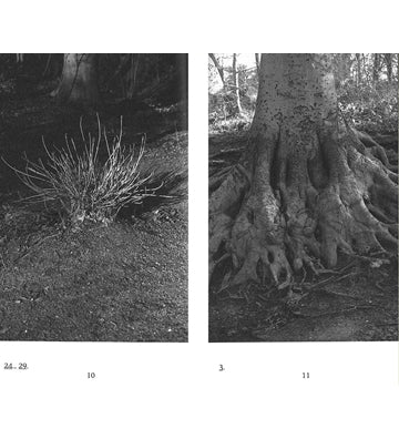 Dries Segers: Hotel Bellevue