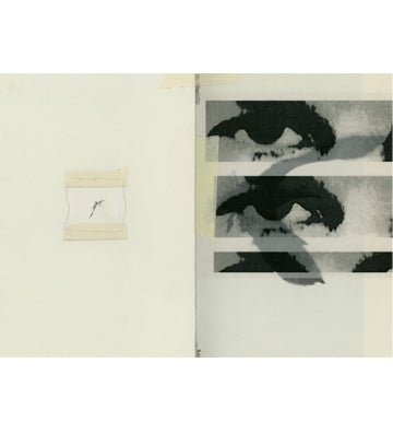 Irene Zottola: ĺcaro (signed)