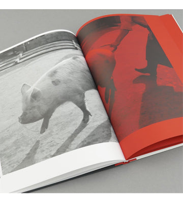 Masahisa Fukase: Kill the Pig