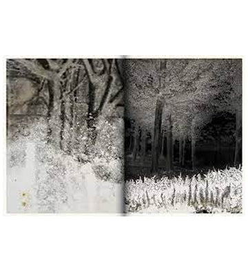Joan Fontcuberta: Kintsugi