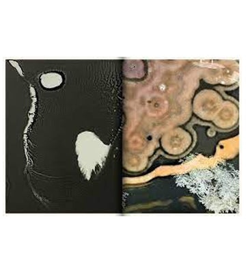 Joan Fontcuberta: Kintsugi