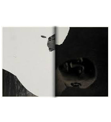 Joan Fontcuberta: Kintsugi