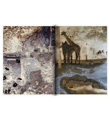Joan Fontcuberta: Kintsugi