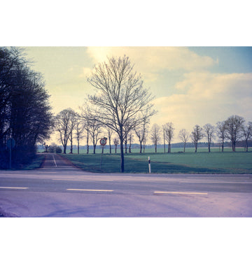 KONO! Delight Art 100 120 Film