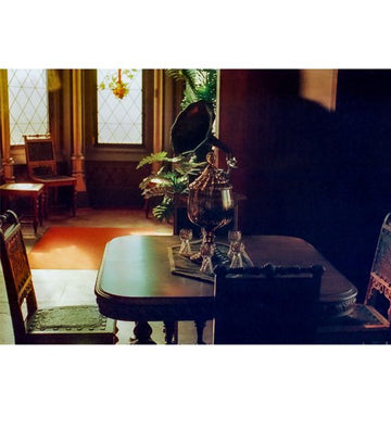 KONO! Delight Art 400 35mm Film