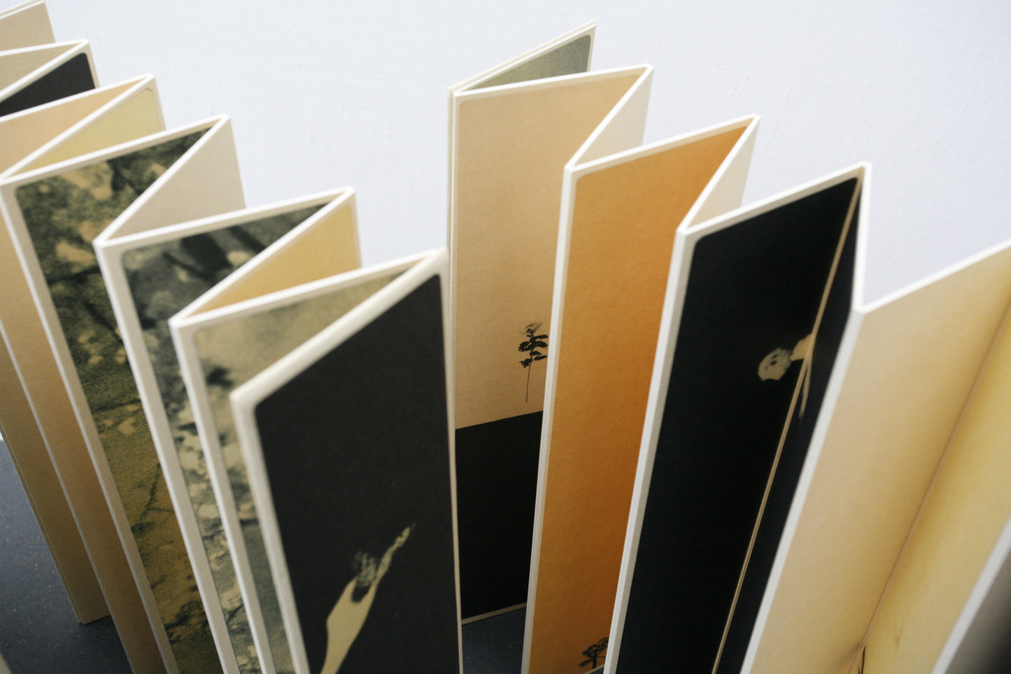 Miho Kajioka: Tanzaku (Handmade Edition)