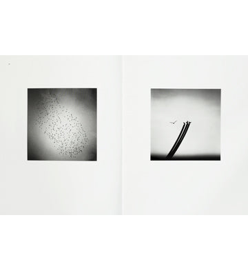 Michael Kenna: Des Oiseaux English Edition (Signed)