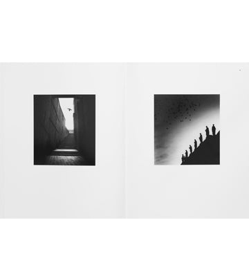 Michael Kenna: Des Oiseaux English Edition (Signed)