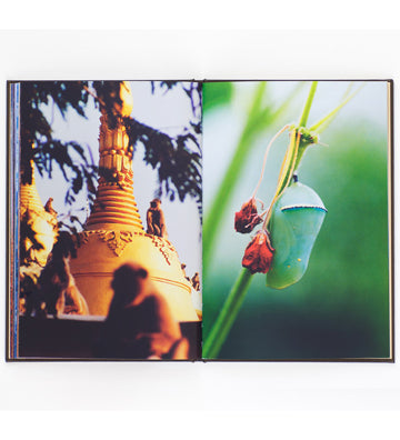 Milo Reid: Are We Always Outside (signed)