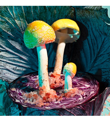 Phyllis Ma: Mushrooms and Friends 3