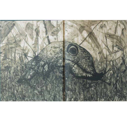 Stephen Gill: Night Procession