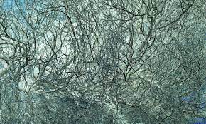 Richard Misrach: Notations