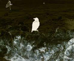 Richard Misrach: Notations
