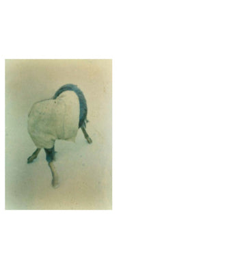 Martin Bogren: Passenger (signed)