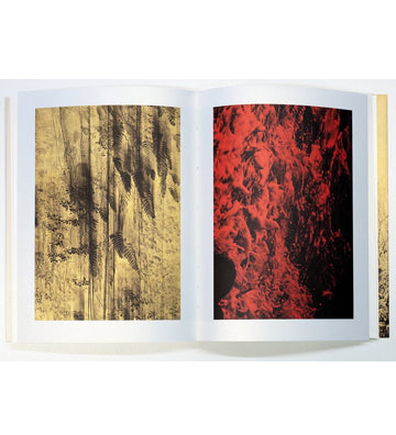 Albarrán Cabrera: Photographic Syntax