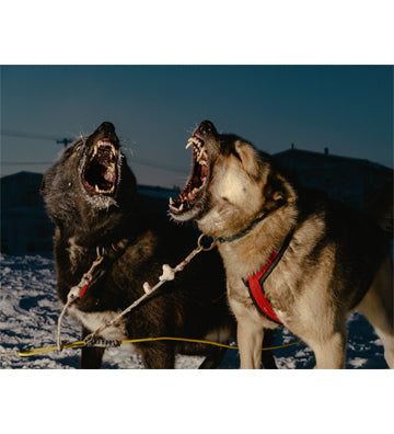 Mark Mahaney: Polar Night (2nd edition)
