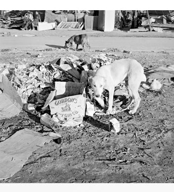 Jo Ractliffe: Photographs 1980 - now