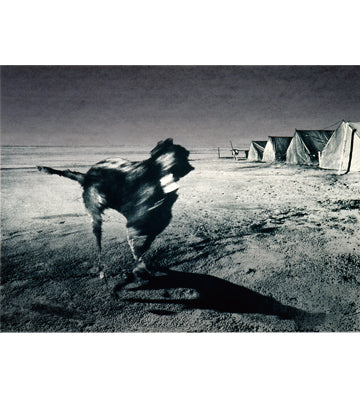 Jo Ractliffe: Photographs 1980 - now