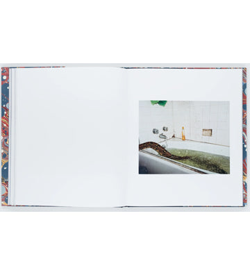 Curran Hatleberg: River's Dream ( 1st edition, second printing - blue)