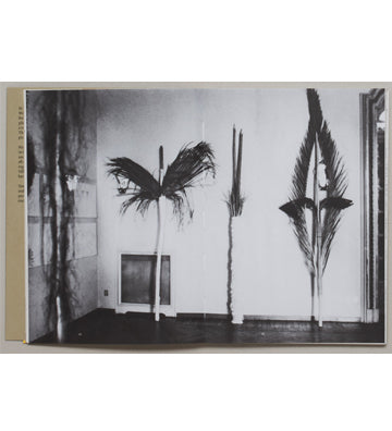 Hannah Villiger: Roma and afterwards