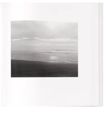 Robert Adams: Sea Stone
