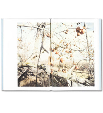 Raymond Meeks: Somersault (signed copies)