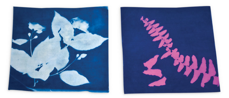 Sunography Fabric