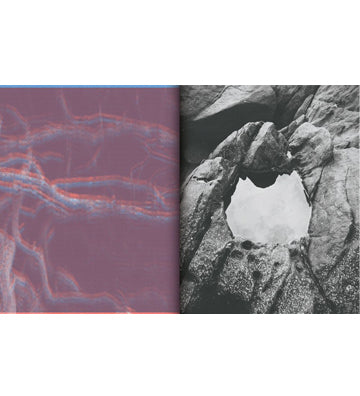 Ying Ang: The Quickening (signed)