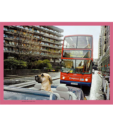 Matt Stuart: Think Like a Street Photographer