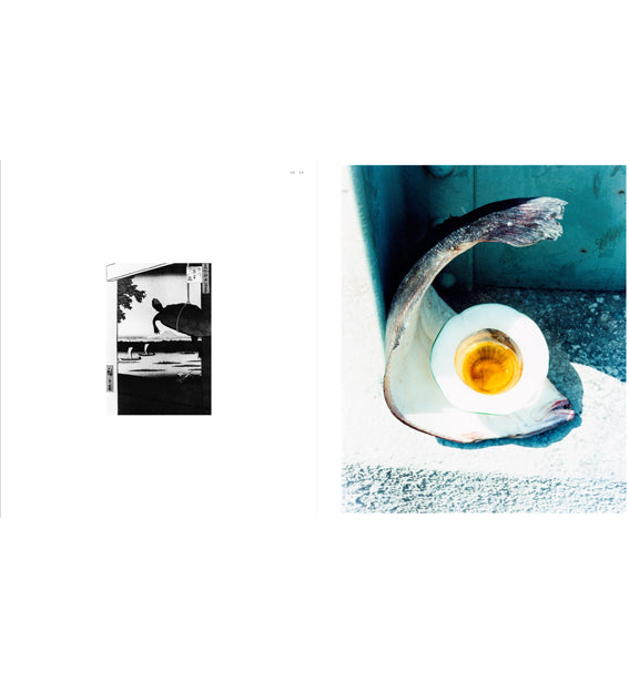 Naohiro Harada: Tokyo Fishgraphs