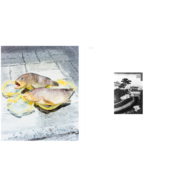 Naohiro Harada: Tokyo Fishgraphs