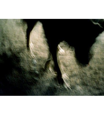 Eva Voutsaki: Traces Within (signed)