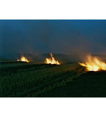 Eva Voutsaki: Traces Within (signed)