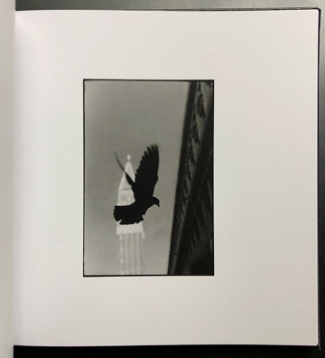Giacomo Brunelli: Venice (signed)