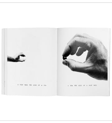 William Wegman: Writing by Artist