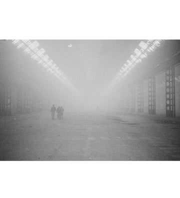 Chiara Fossati: Whatever