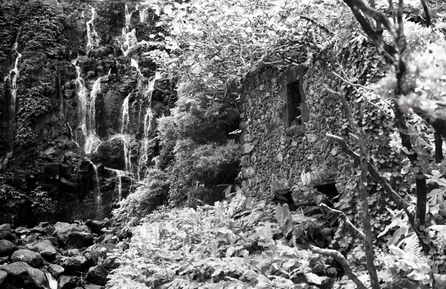 Washi Z 400 35mm Film 24 Exposures