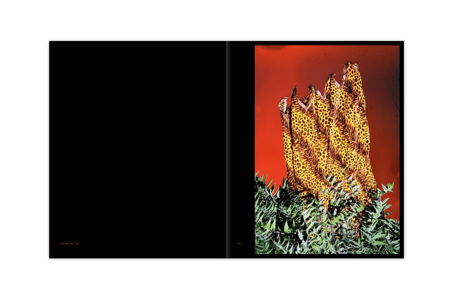 Vasantha Yogananthan: Afterlife (Signed)