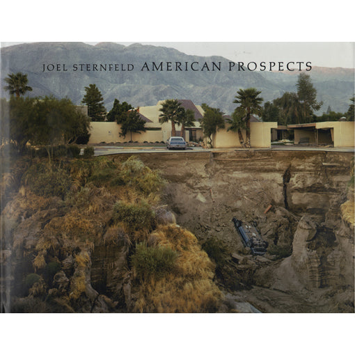 Joel Sternfeld: American Prospects