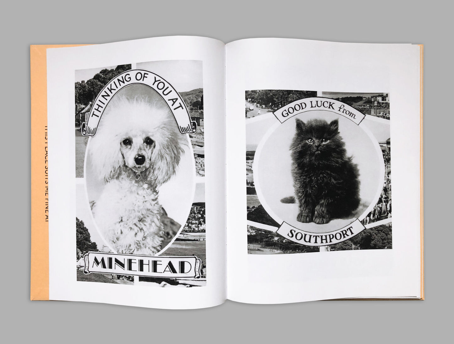 Alberto Vieceli: Animal Greetings From The UK