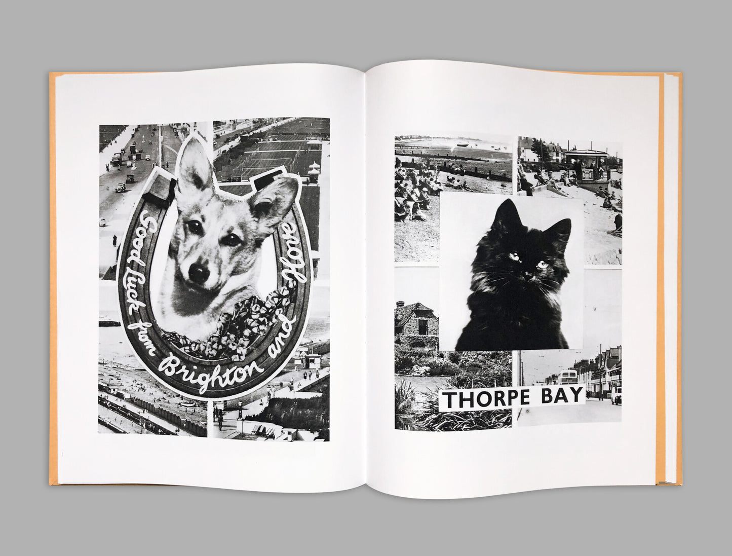 Alberto Vieceli: Animal Greetings From The UK