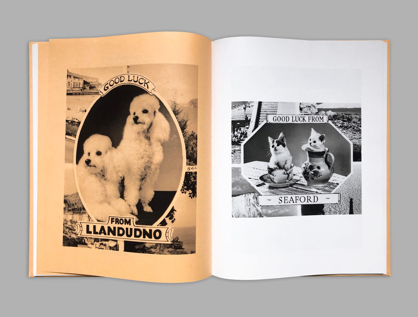 Alberto Vieceli: Animal Greetings From The UK