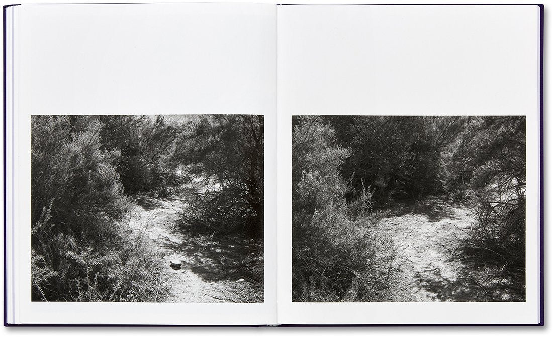 Paul Graham (Ed.): But Still, It Turns
