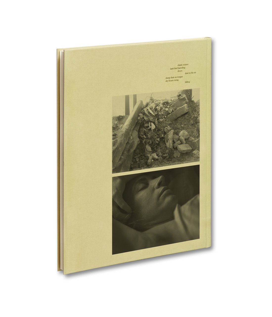 Raymond Meeks: ciprian honey cathedral