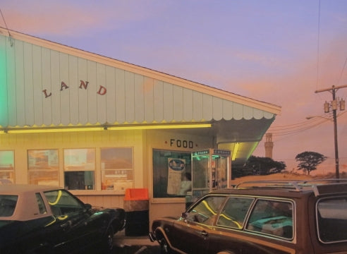 Joel Meyerowitz: Between the Dog and the Wolf